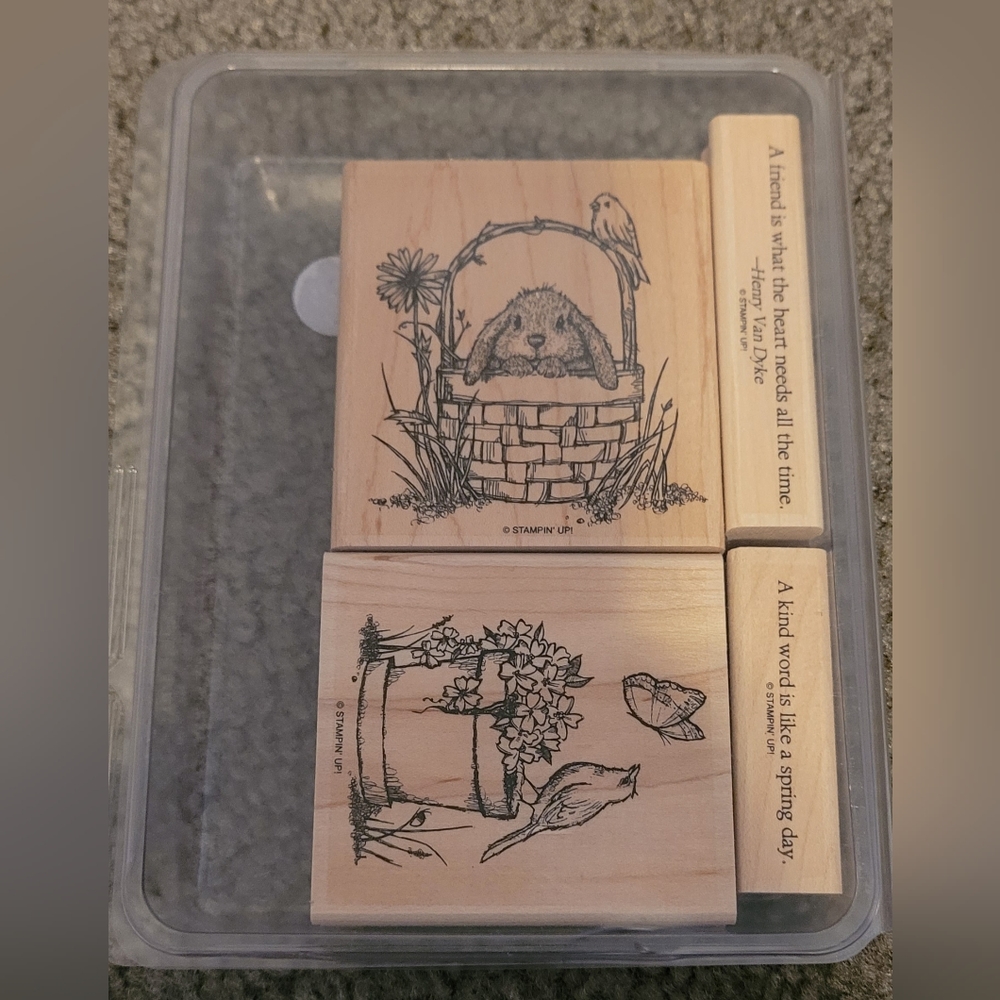 STAMPIN UP RETIRED Serene Spring